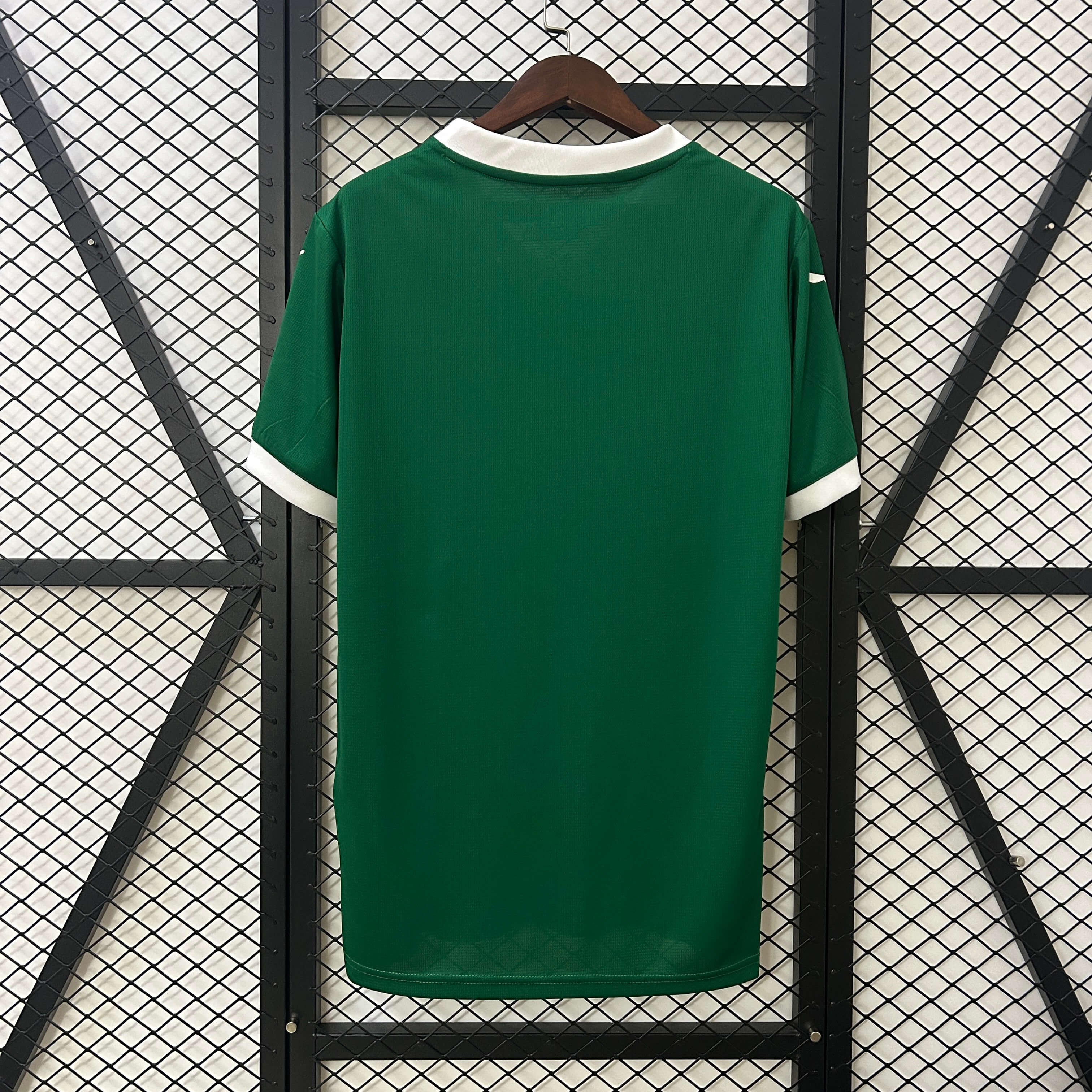 Miniatura de Palmeiras 25/26 Local