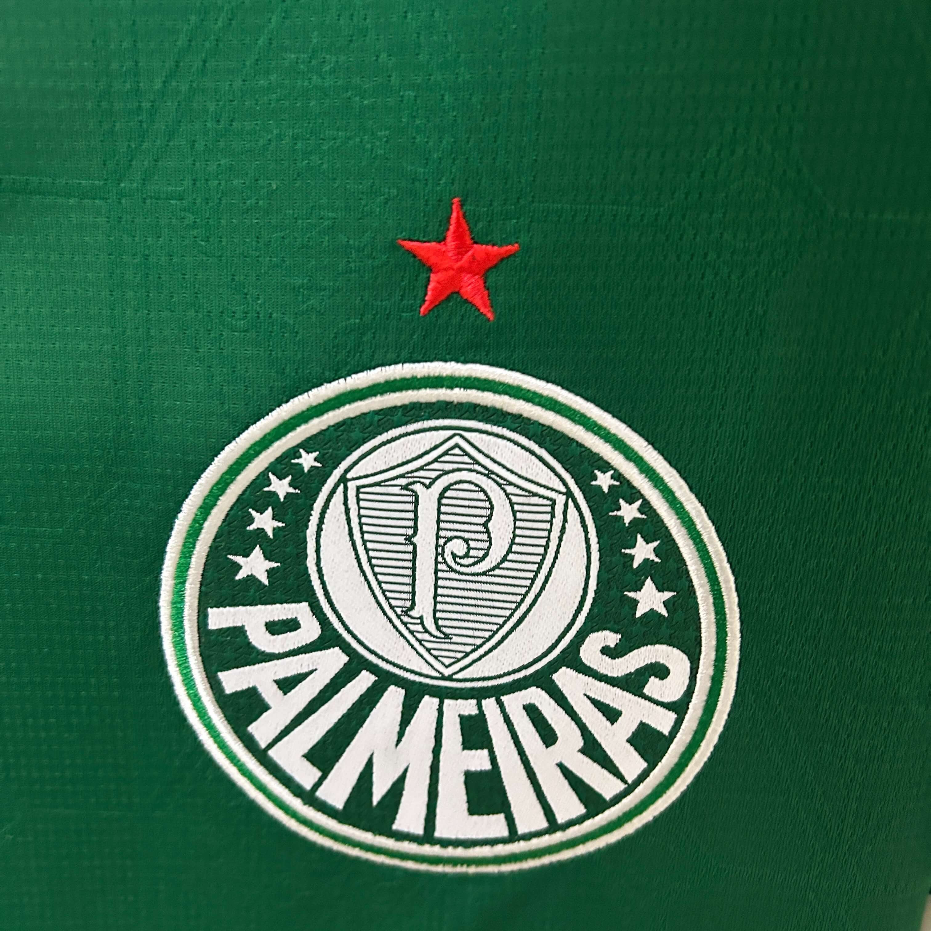 Miniatura de Palmeiras 25/26 Local