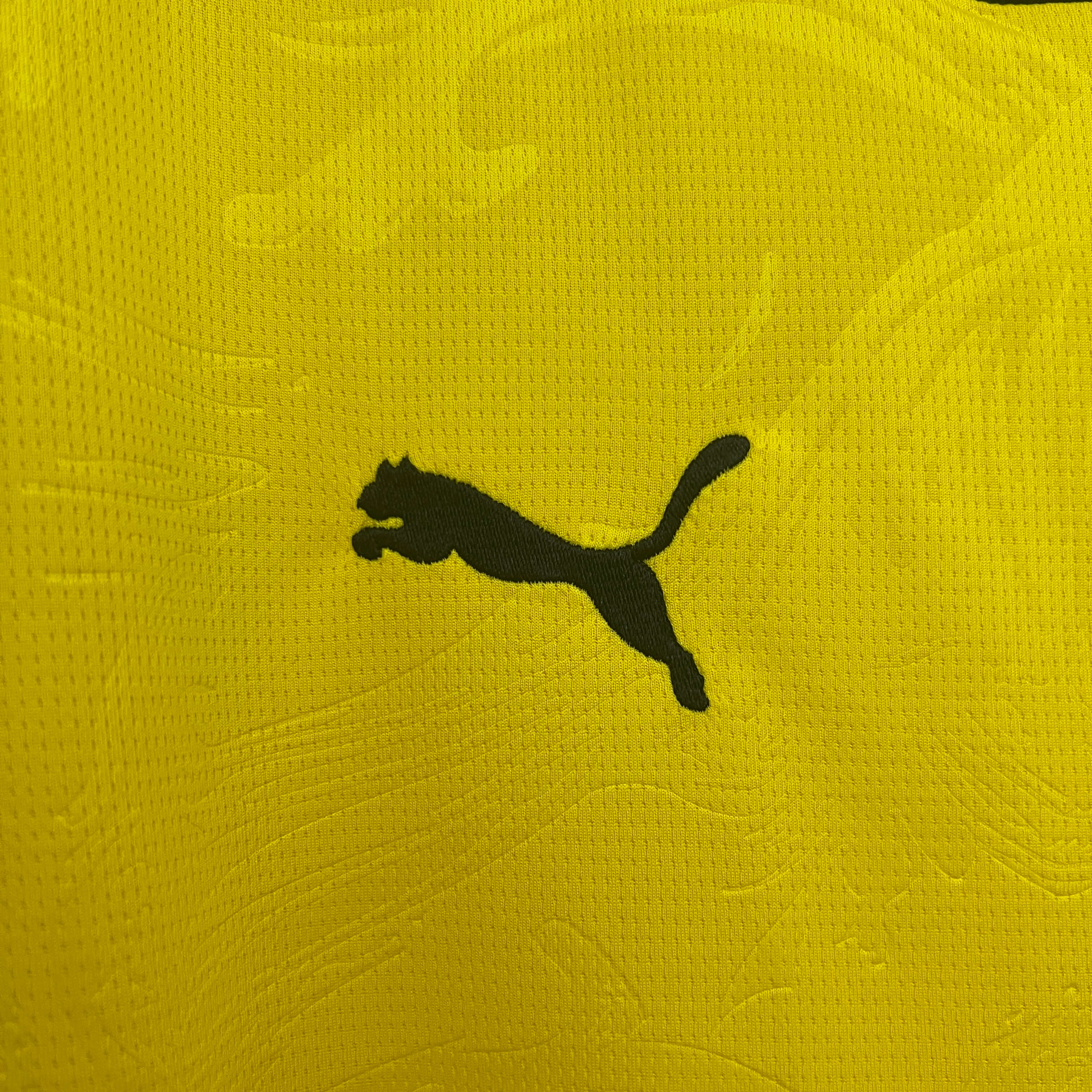Miniatura de Dortmund 25/26 Special Edition