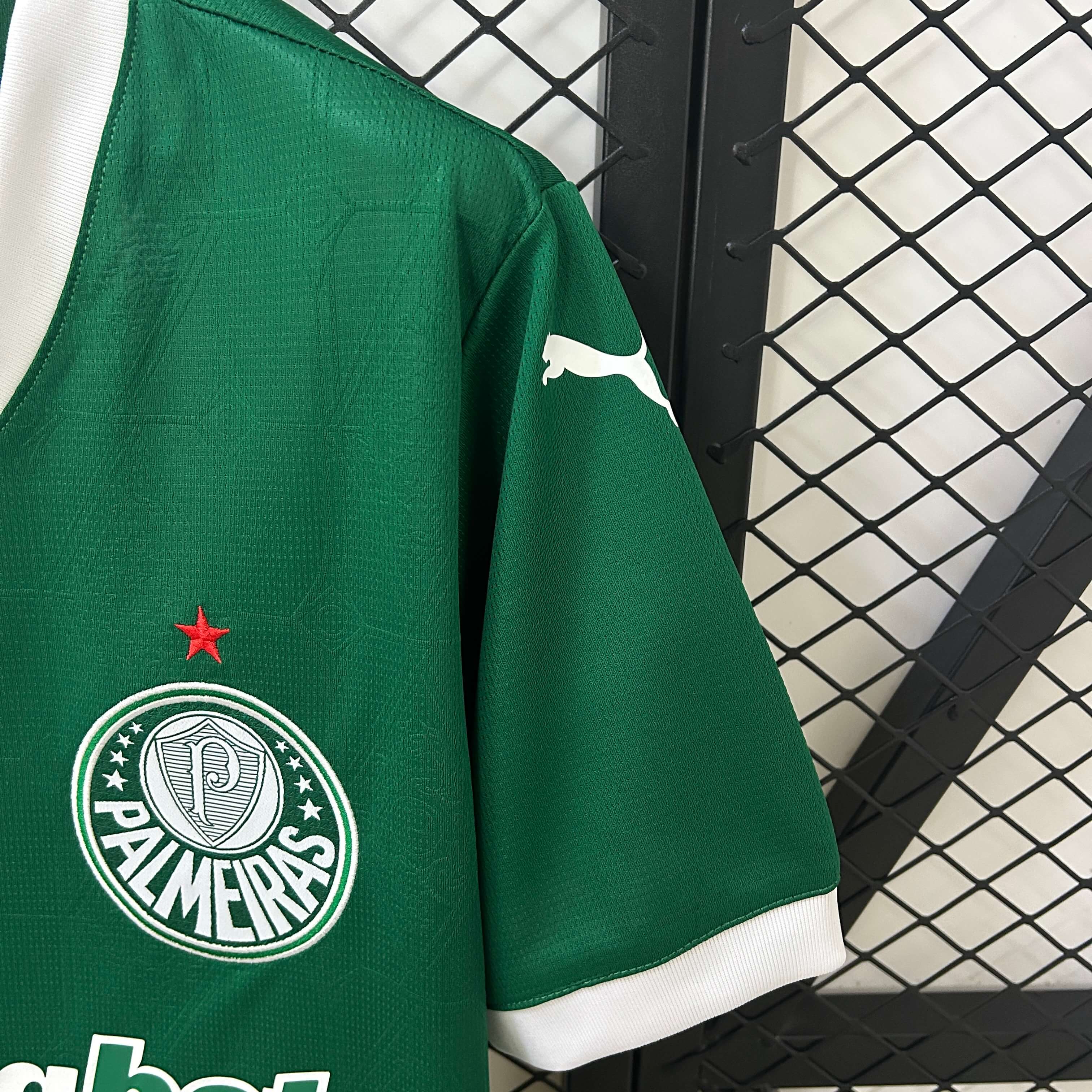 Miniatura de Palmeiras 25/26 Local