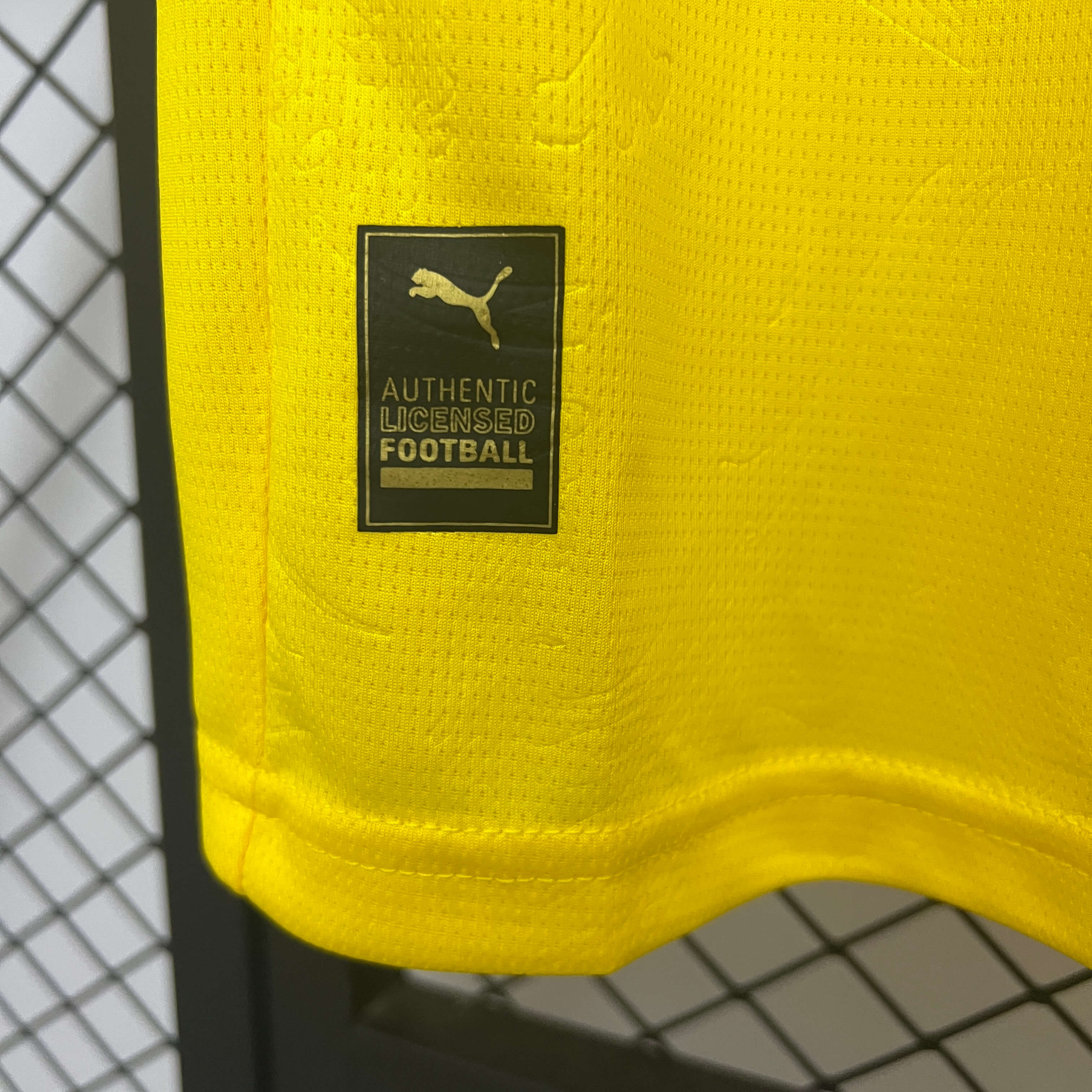 Miniatura de Dortmund 25/26 Special Edition