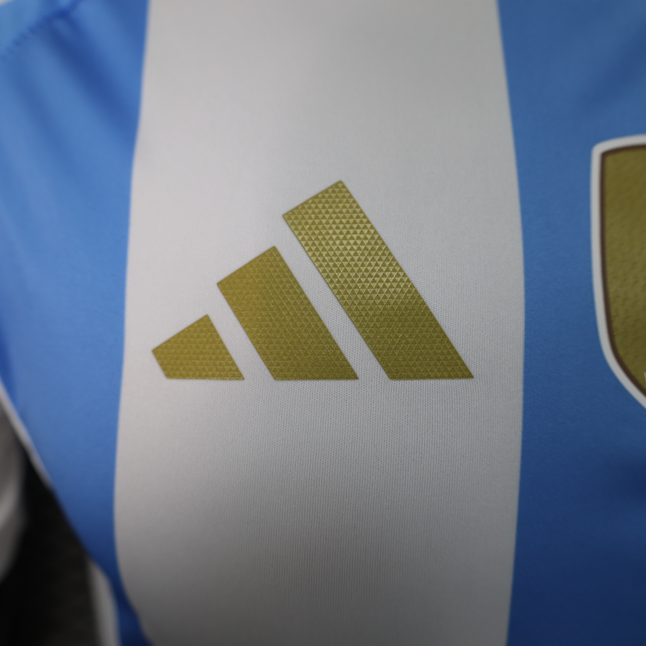 Miniatura de Argentina 2024 Local Player Version