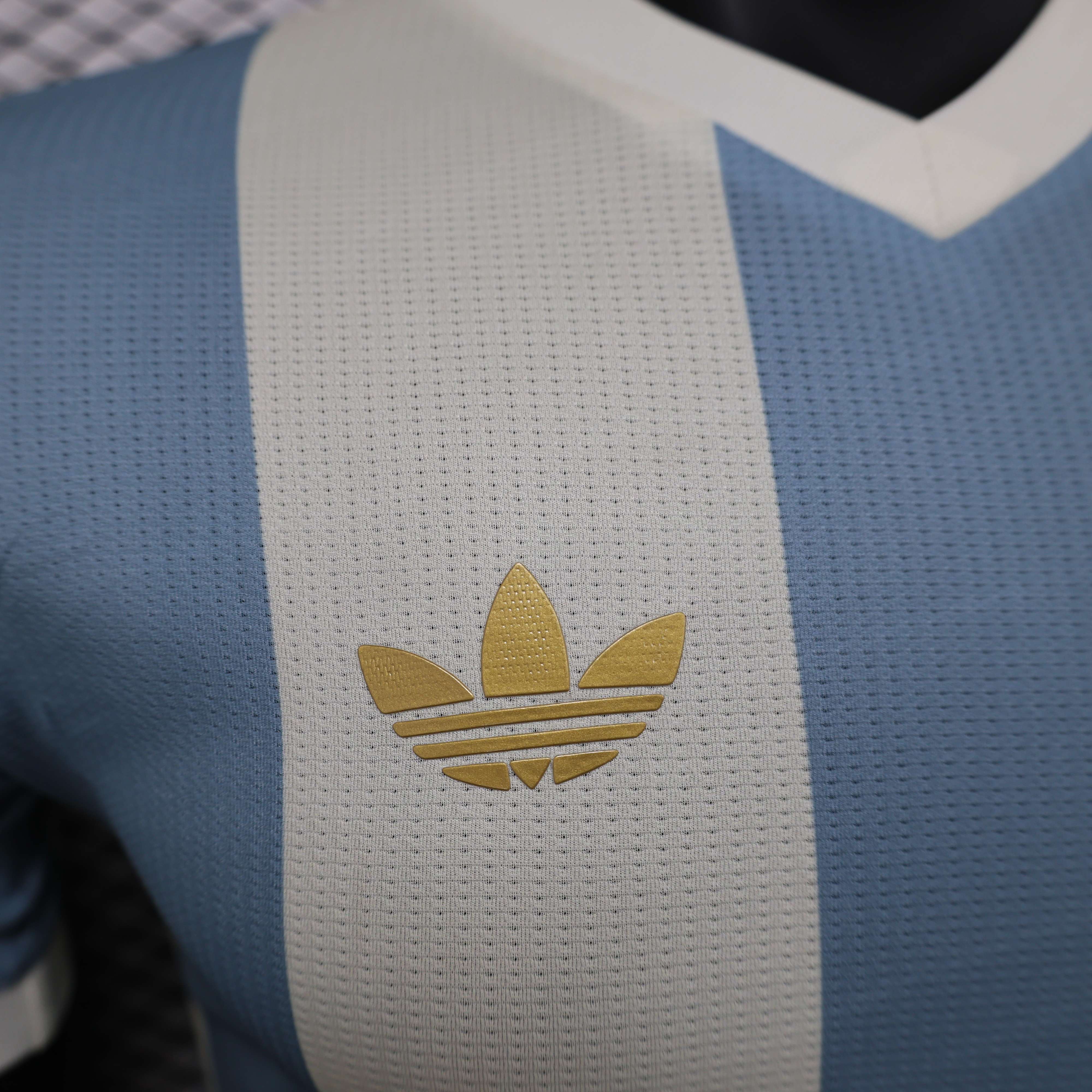 Miniatura de Argentina 2025 AFA Local Player Version