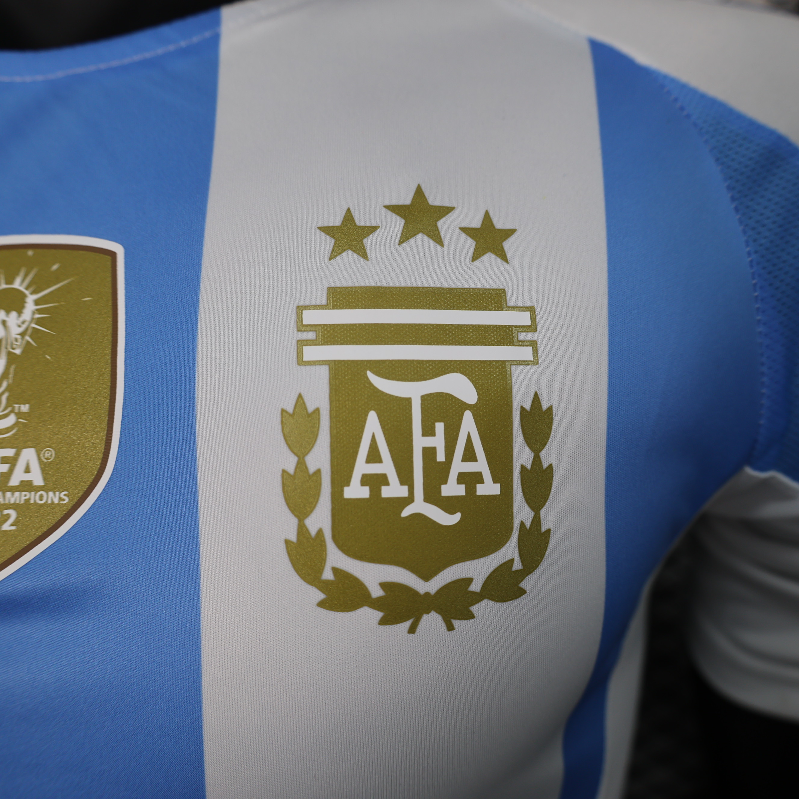 Miniatura de Argentina 2024 Local Player Version