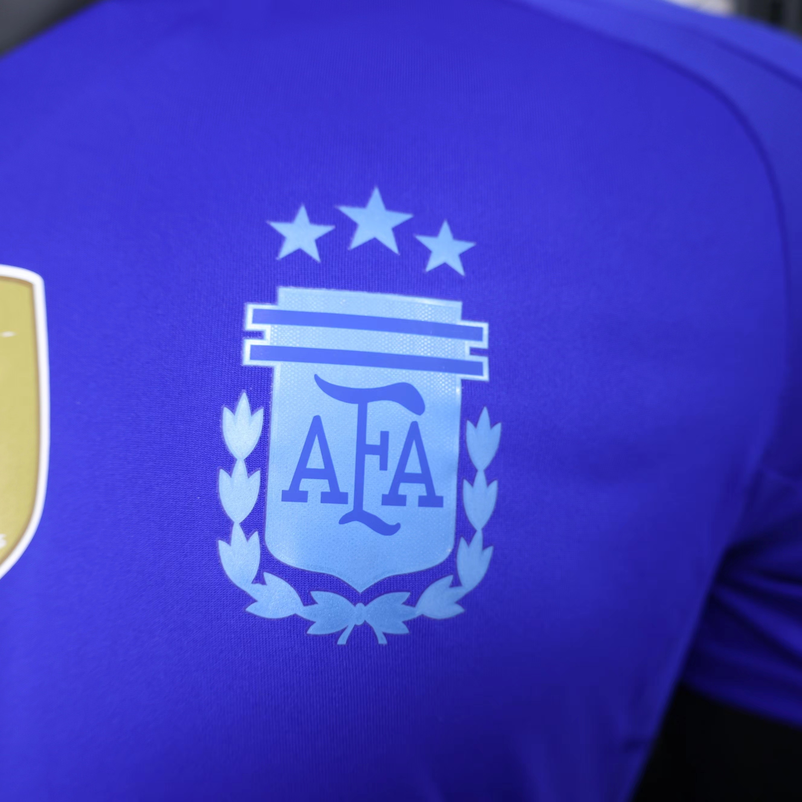 Miniatura de Argentina 2024 Visitante Player Version
