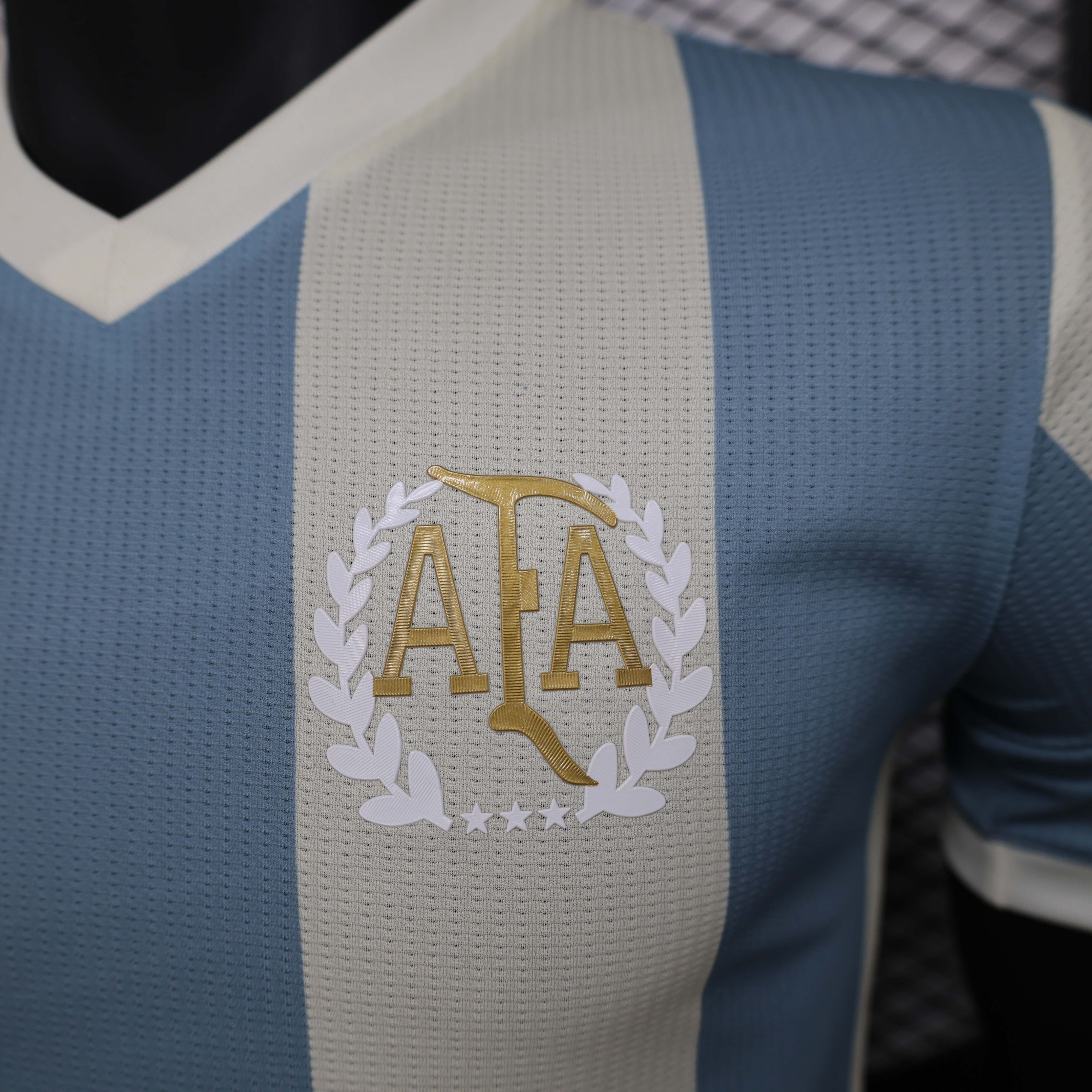 Miniatura de Argentina 2025 AFA Local Player Version