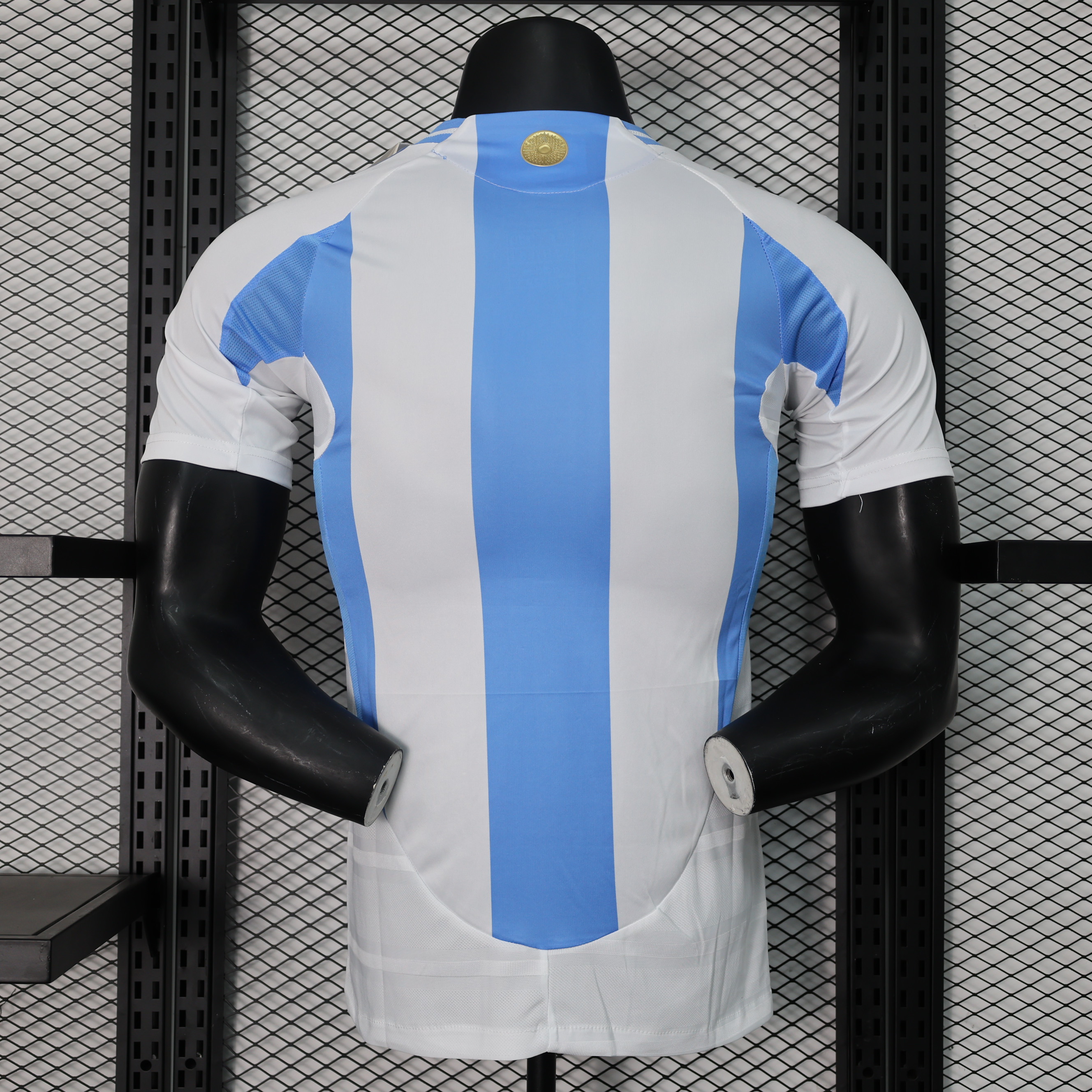 Miniatura de Argentina 2024 Local Player Version