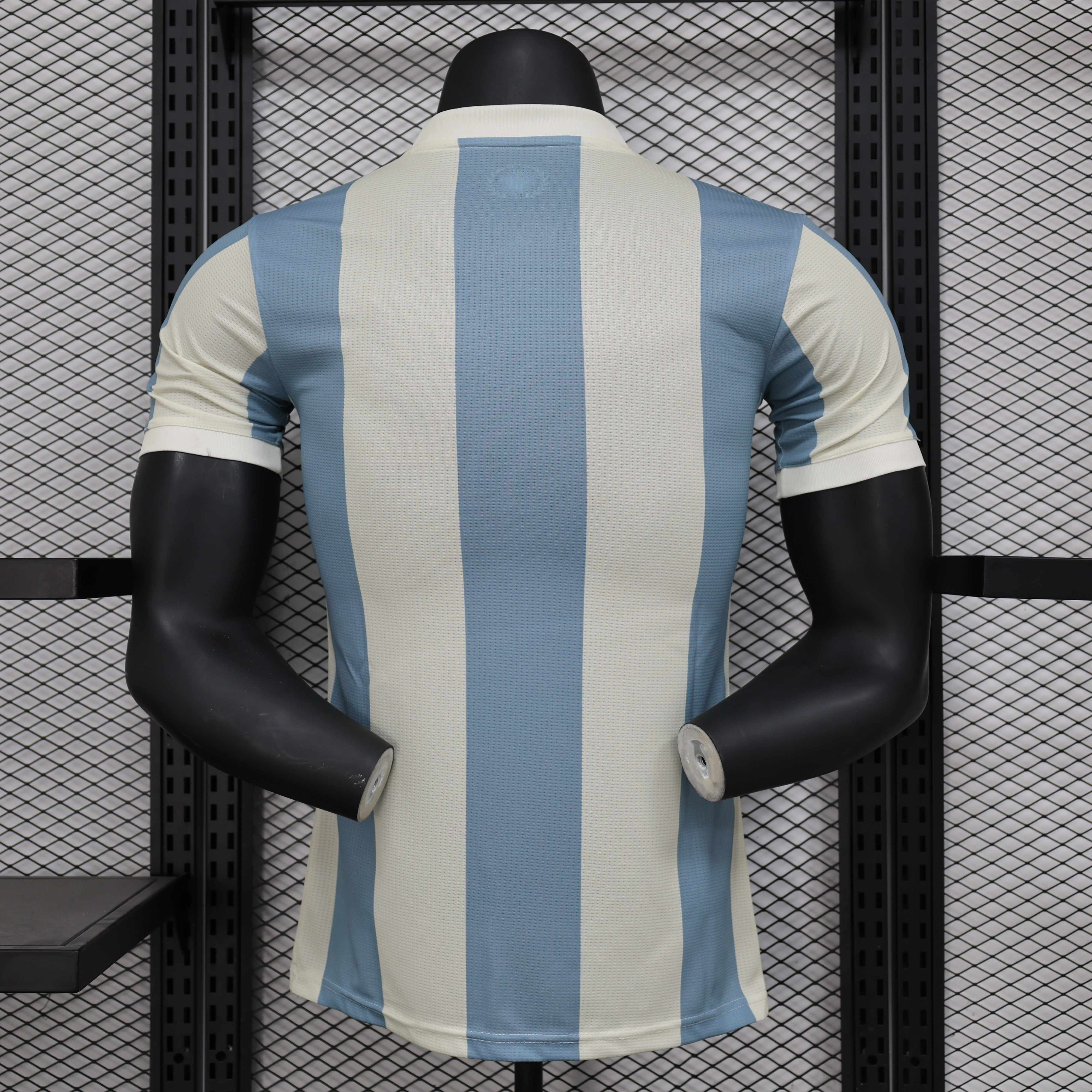 Miniatura de Argentina 2025 AFA Local Player Version