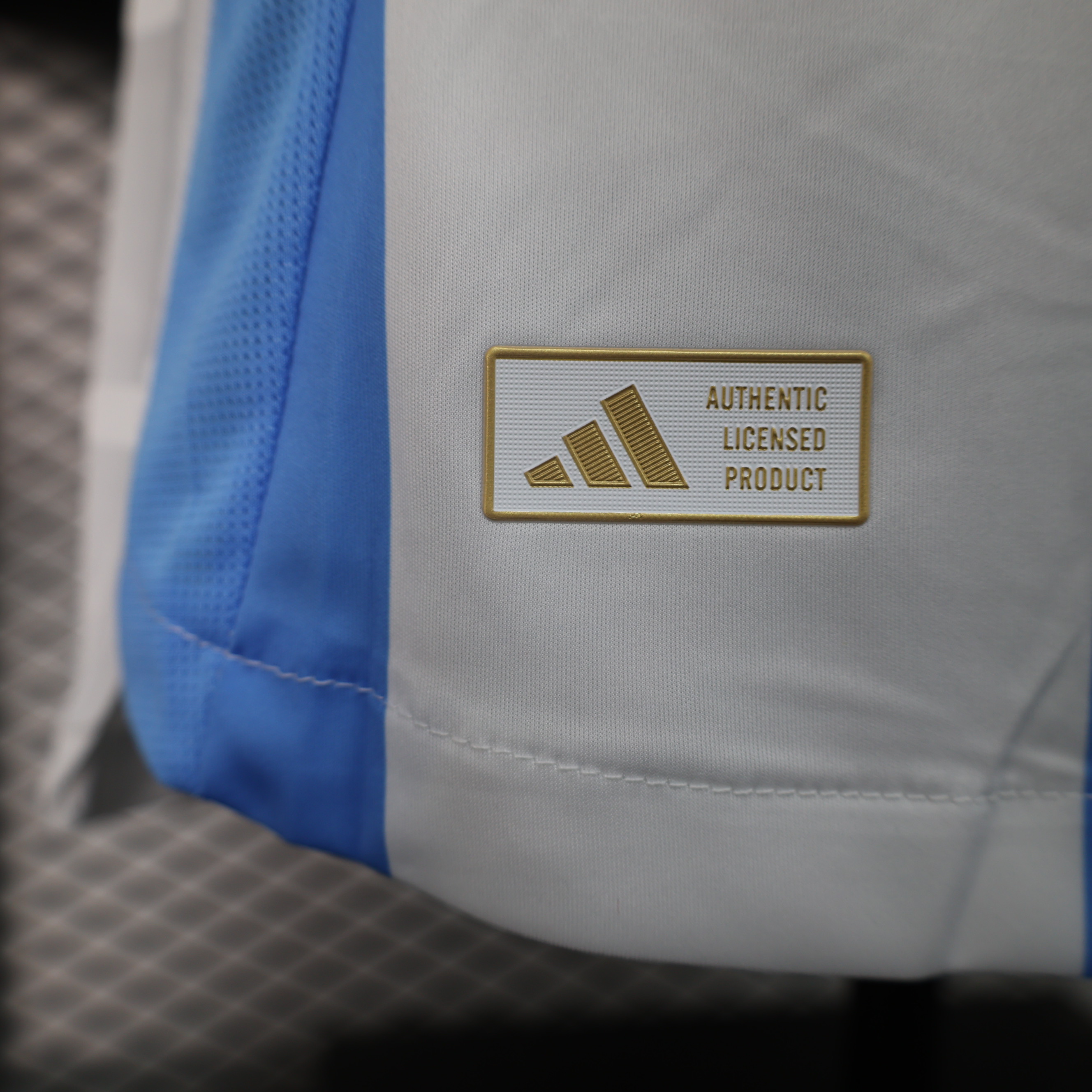 Miniatura de Argentina 2024 Local Player Version