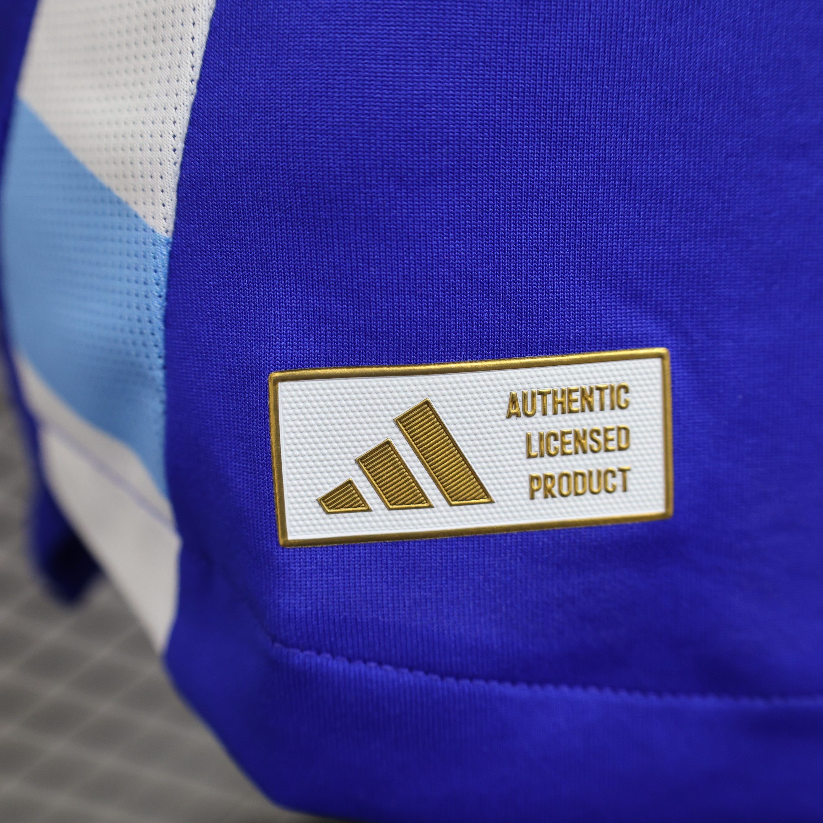 Miniatura de Argentina 2024 Visitante Player Version