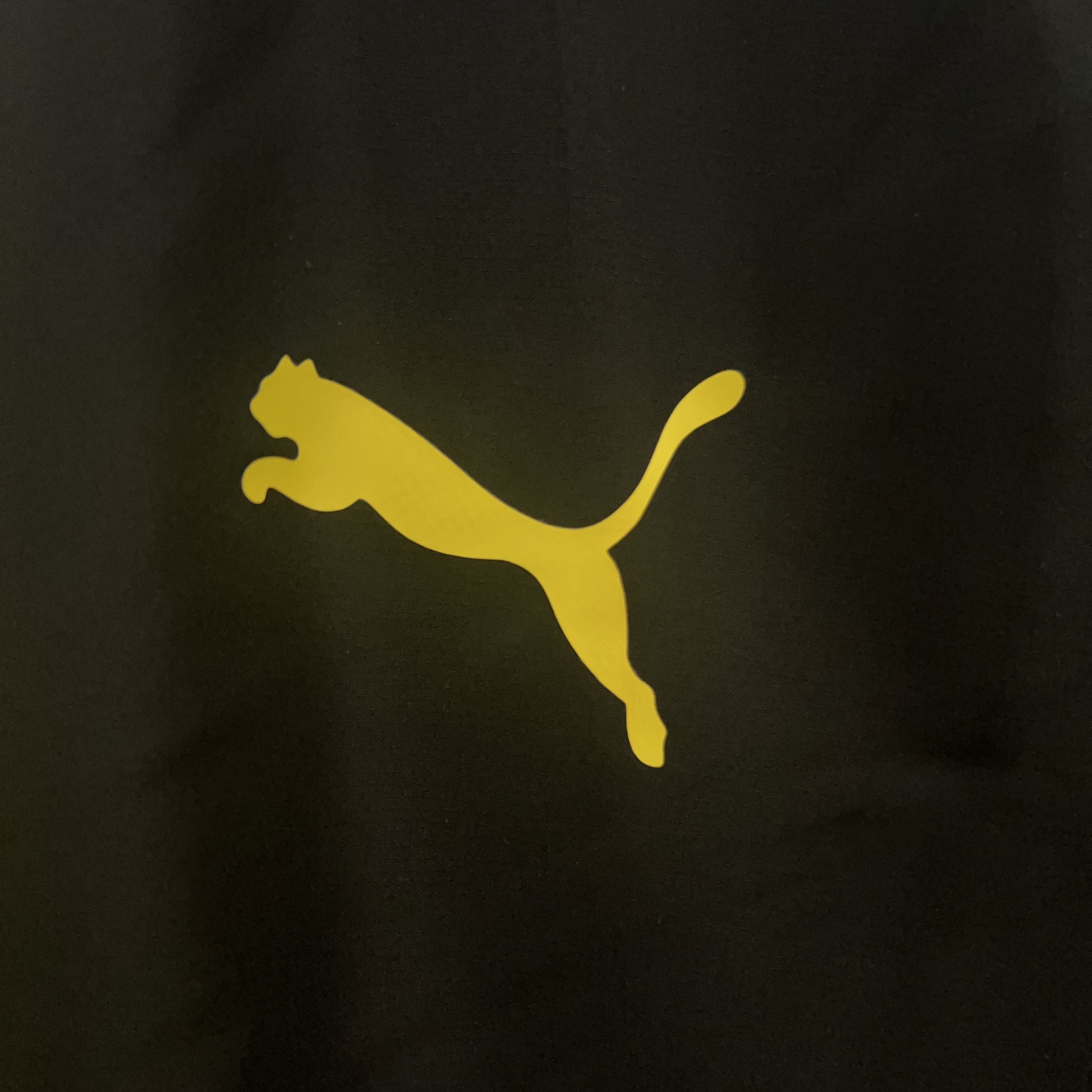 Miniatura de Campera Dortmund 24/25 Local