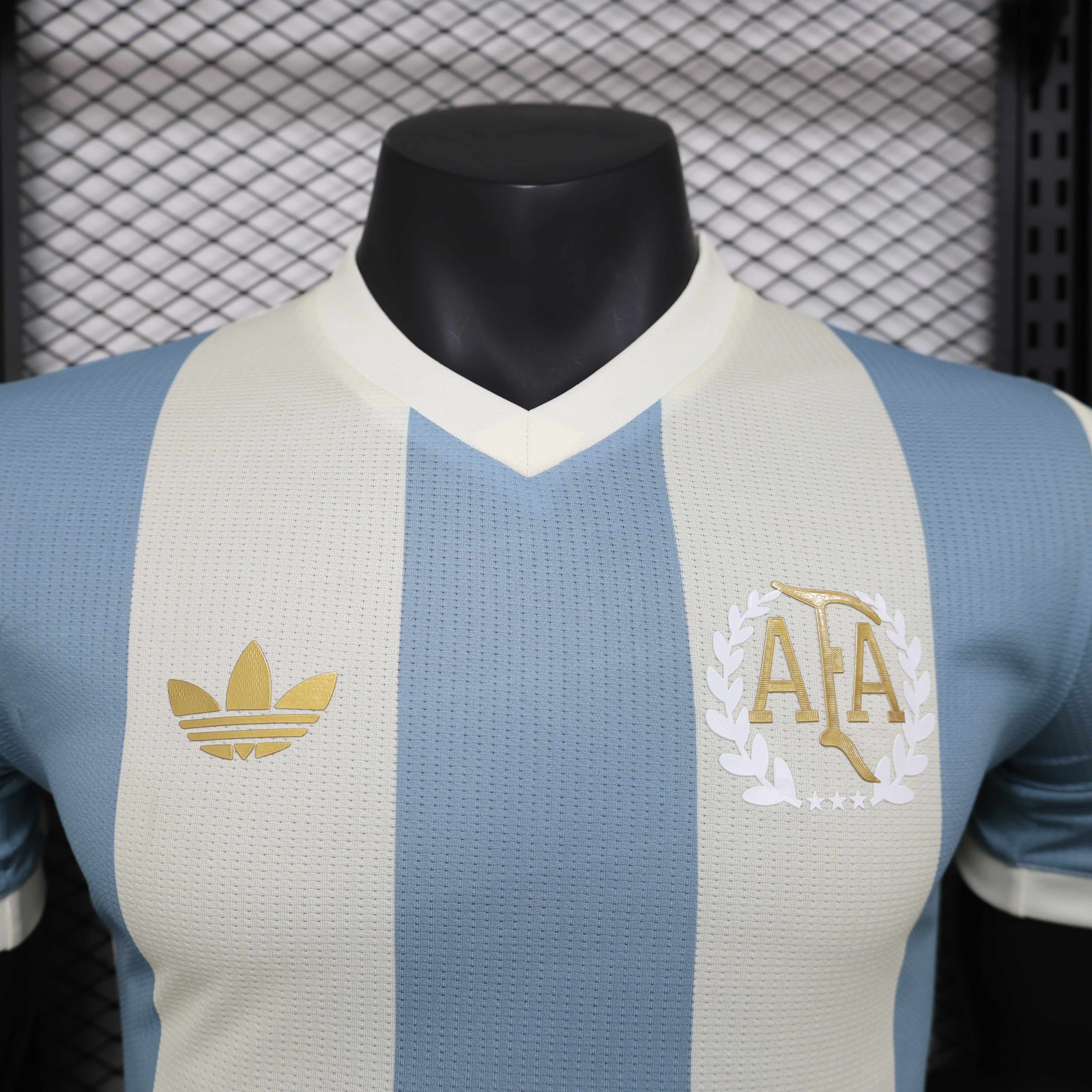 Miniatura de Argentina 2025 AFA Local Player Version