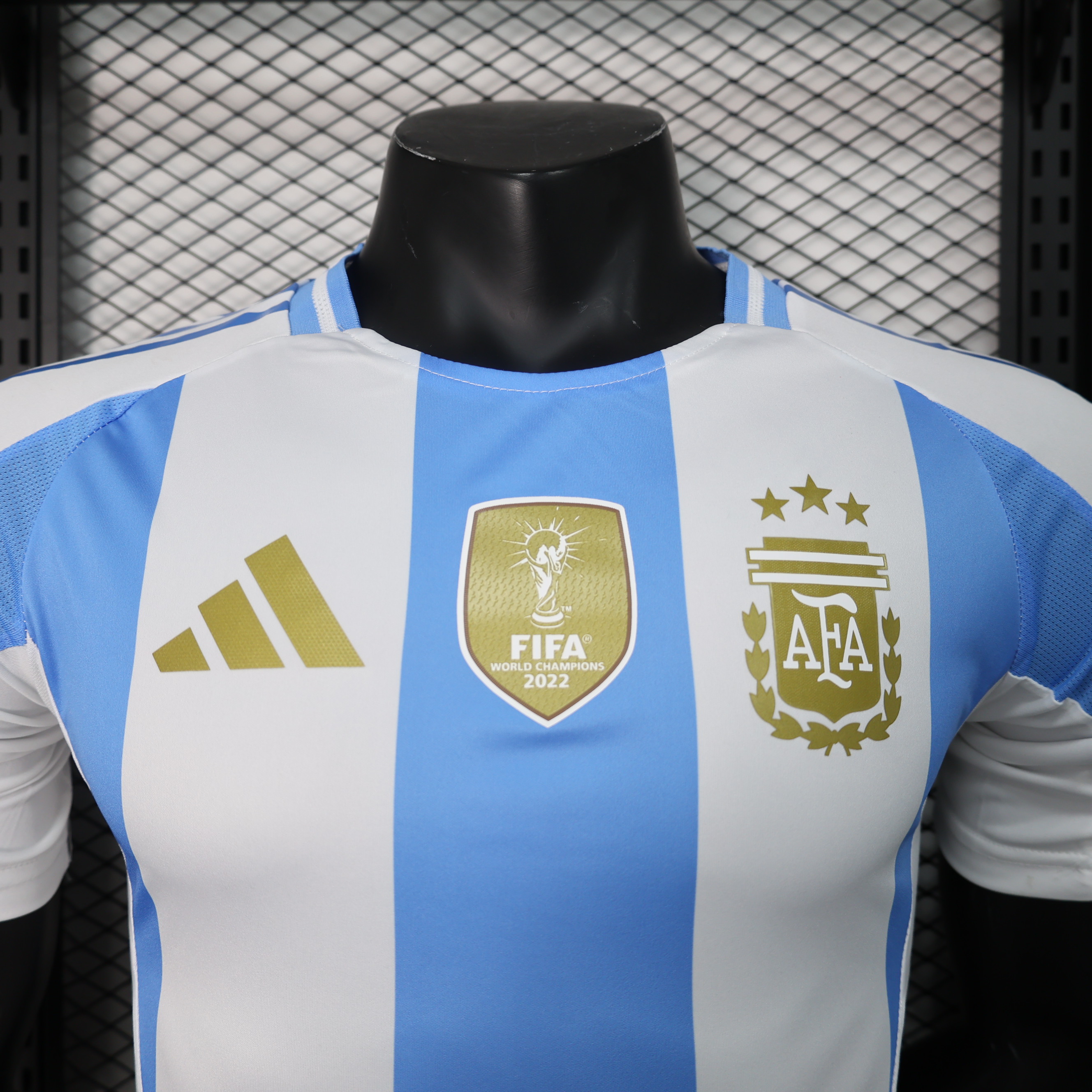 Miniatura de Argentina 2024 Local Player Version